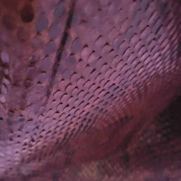 Unique Snake Python Purse - Picture 10 of 12